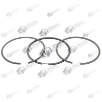 Segmenti Briggs and Stratton Sprint 3.5cp 65.1mm 498680 (Terra)